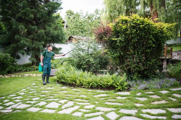 Lawn Maintenance Plans in Bonny Doon, CA